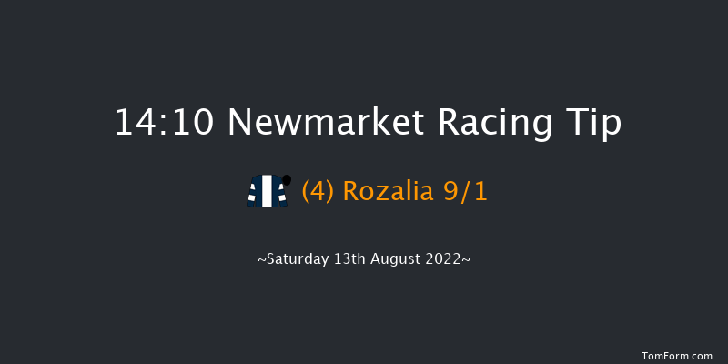 Newmarket 14:10 Handicap (Class 2) 14f Sat 6th Aug 2022