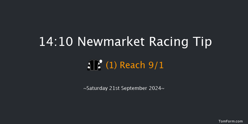 Newmarket  14:10 Handicap (Class 4) 8f Sat 24th Aug 2024