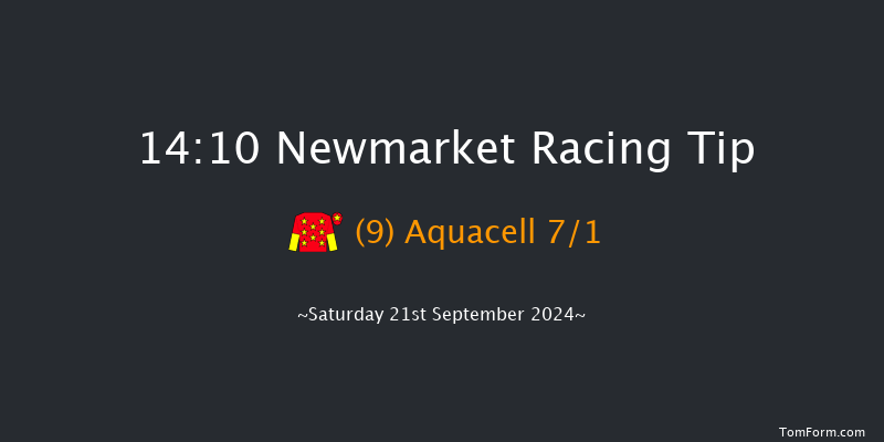 Newmarket  14:10 Handicap (Class 4) 8f Sat 24th Aug 2024