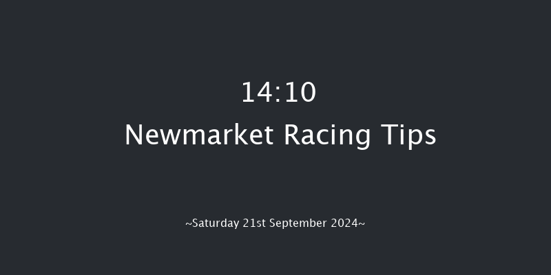 Newmarket  14:10 Handicap (Class 4) 8f Sat 24th Aug 2024