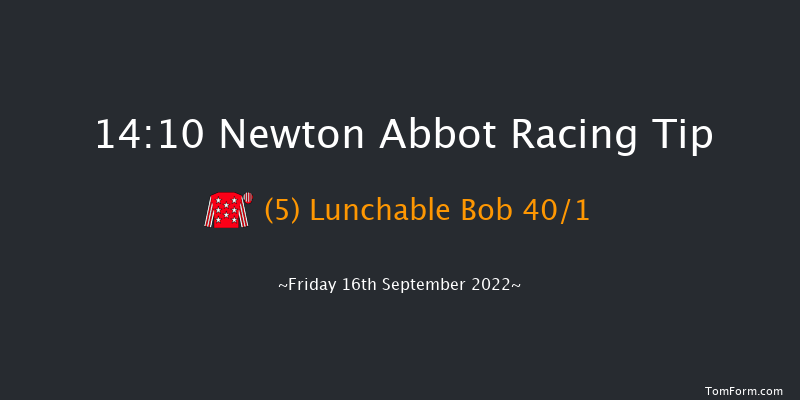 Newton Abbot 14:10 Maiden Hurdle (Class 4) 22f Mon 5th Sep 2022