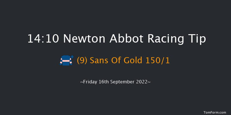 Newton Abbot 14:10 Maiden Hurdle (Class 4) 22f Mon 5th Sep 2022