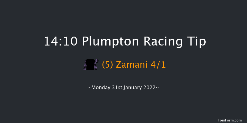 Plumpton 14:10 Handicap Chase (Class 5) 17f Wed 19th Jan 2022