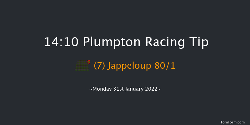 Plumpton 14:10 Handicap Chase (Class 5) 17f Wed 19th Jan 2022