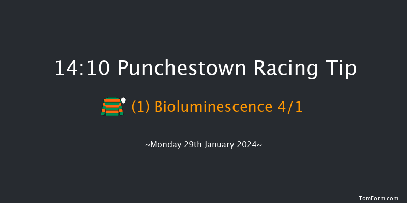 Punchestown  14:10 Maiden Hurdle
20f Sun 31st Dec 2023