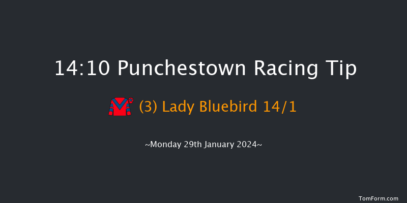 Punchestown  14:10 Maiden Hurdle
20f Sun 31st Dec 2023