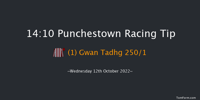 Punchestown 14:10 Maiden Hurdle 16f Tue 11th Oct 2022