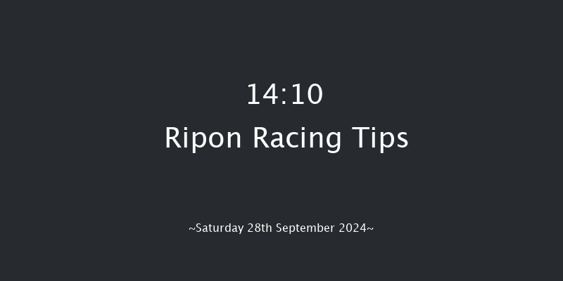 Ripon  14:10 Handicap (Class 5) 8f Tue 27th Aug 2024