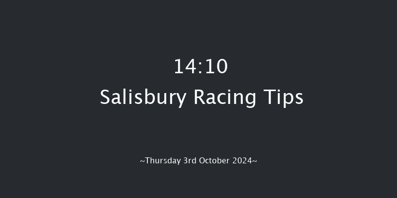 Salisbury  14:10 Stakes (Class 4) 8f Fri 13th Sep 2024