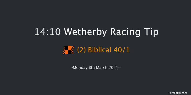 Download The tote App Maiden Hurdle (GBB Race) Wetherby 14:10 Maiden Hurdle (Class 4) 16f Tue 23rd Feb 2021