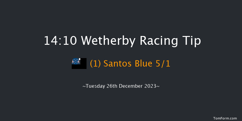 Wetherby 14:10 Handicap Hurdle (Class 3) 21f Wed 29th Nov 2023