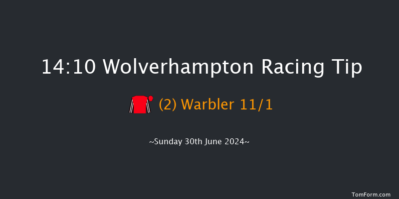 Wolverhampton  14:10 Handicap (Class 6) 12f Thu 20th Jun 2024