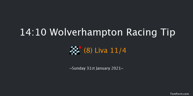 Heed Your Hunch At Betway Handicap Wolverhampton 14:10 Handicap (Class 6) 12f Fri 29th Jan 2021