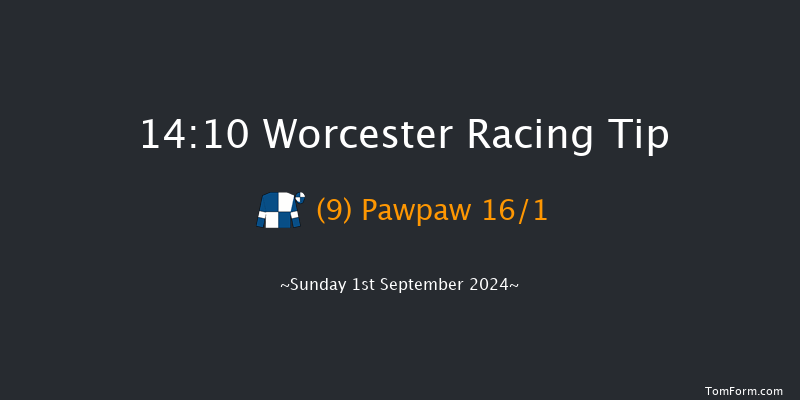 Worcester  14:10 Handicap Chase (Class 5) 23f Wed 28th Aug 2024