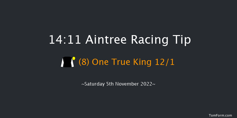 Aintree 14:11 Handicap Chase (Class 2) 21f Sun 23rd Oct 2022