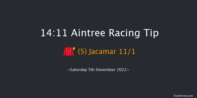 Aintree 14:11 Handicap Chase (Class 2) 21f Sun 23rd Oct 2022