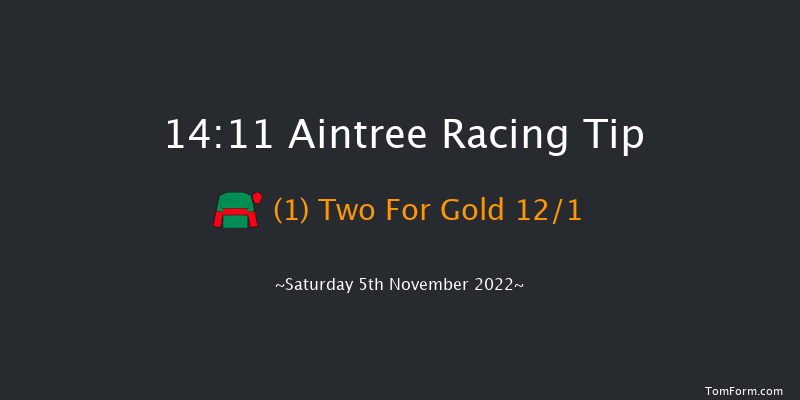 Aintree 14:11 Handicap Chase (Class 2) 21f Sun 23rd Oct 2022