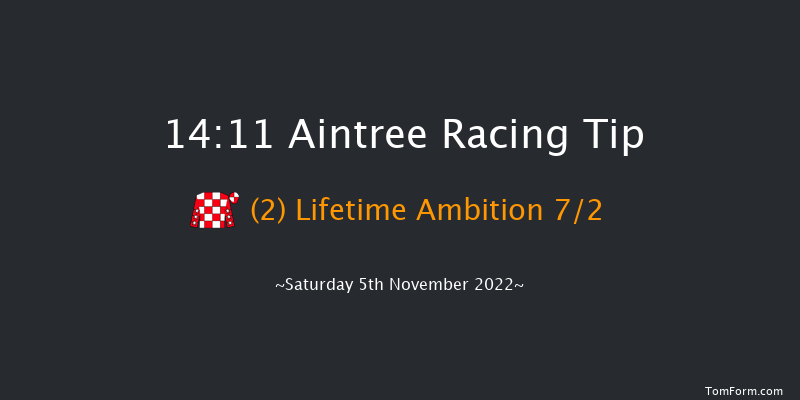 Aintree 14:11 Handicap Chase (Class 2) 21f Sun 23rd Oct 2022