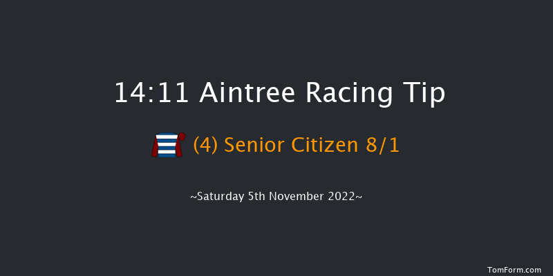 Aintree 14:11 Handicap Chase (Class 2) 21f Sun 23rd Oct 2022