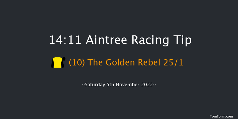 Aintree 14:11 Handicap Chase (Class 2) 21f Sun 23rd Oct 2022