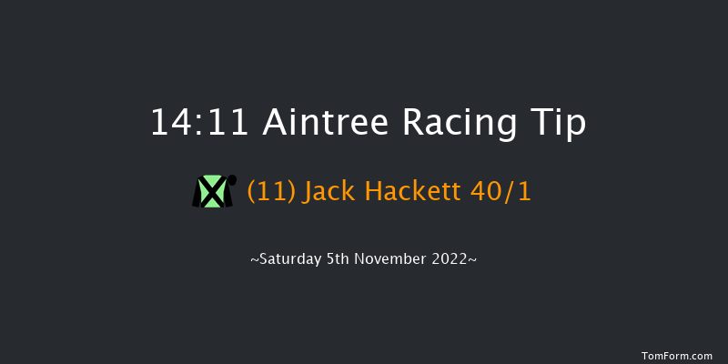 Aintree 14:11 Handicap Chase (Class 2) 21f Sun 23rd Oct 2022