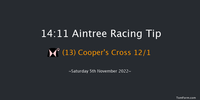 Aintree 14:11 Handicap Chase (Class 2) 21f Sun 23rd Oct 2022