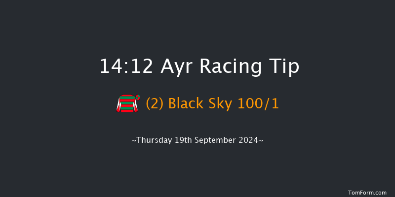 Ayr  14:12 Stakes (Class 5) 8f  Mon 15th Jul 2024