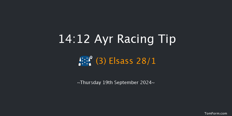 Ayr  14:12 Stakes (Class 5) 8f  Mon 15th Jul 2024