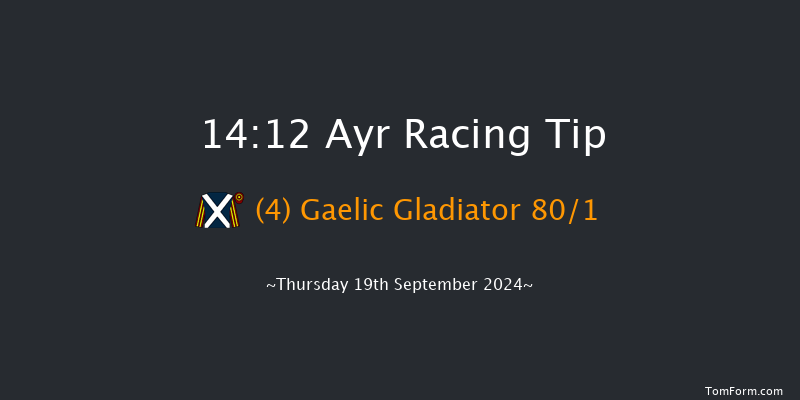 Ayr  14:12 Stakes (Class 5) 8f  Mon 15th Jul 2024