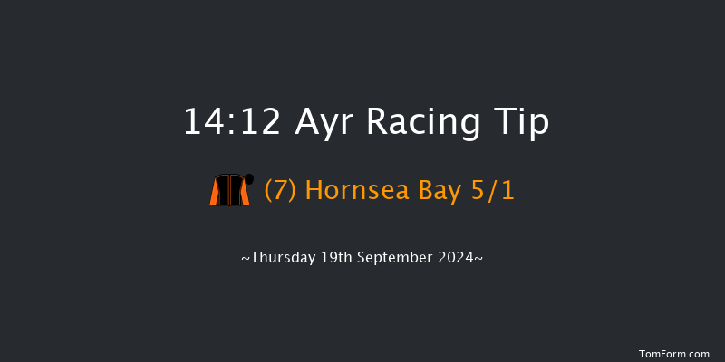 Ayr  14:12 Stakes (Class 5) 8f  Mon 15th Jul 2024