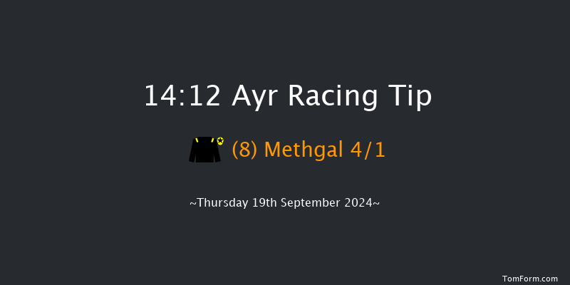 Ayr  14:12 Stakes (Class 5) 8f  Mon 15th Jul 2024