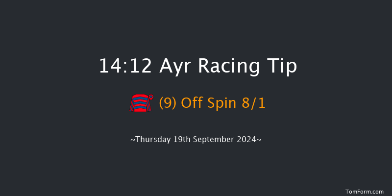 Ayr  14:12 Stakes (Class 5) 8f  Mon 15th Jul 2024