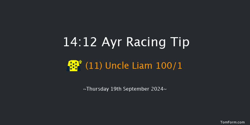 Ayr  14:12 Stakes (Class 5) 8f  Mon 15th Jul 2024