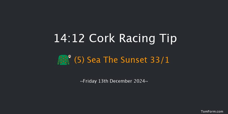 Cork  14:12 Handicap Hurdle 20f Sun 8th Dec 2024