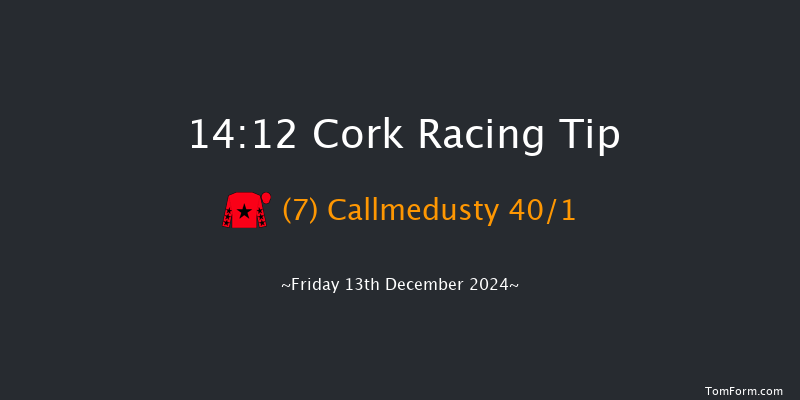 Cork  14:12 Handicap Hurdle 20f Sun 8th Dec 2024