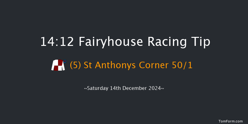 Fairyhouse  14:12 Handicap Hurdle 20f Sun 1st Dec 2024