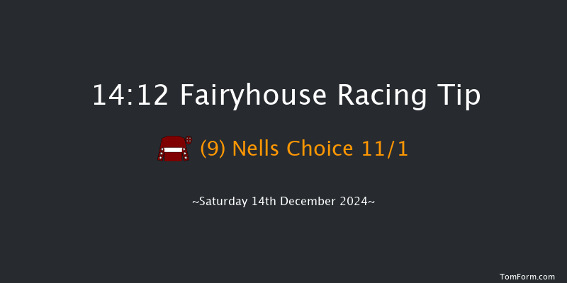 Fairyhouse  14:12 Handicap Hurdle 20f Sun 1st Dec 2024