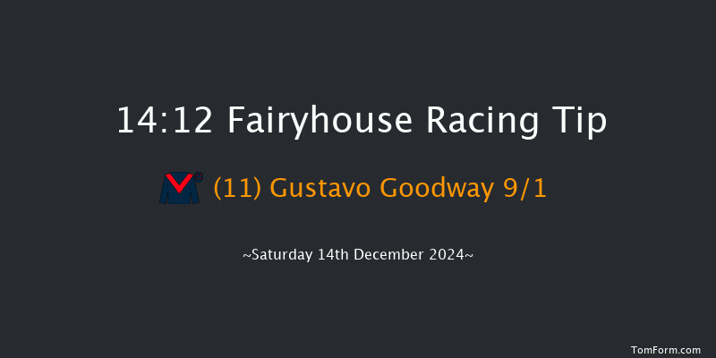 Fairyhouse  14:12 Handicap Hurdle 20f Sun 1st Dec 2024