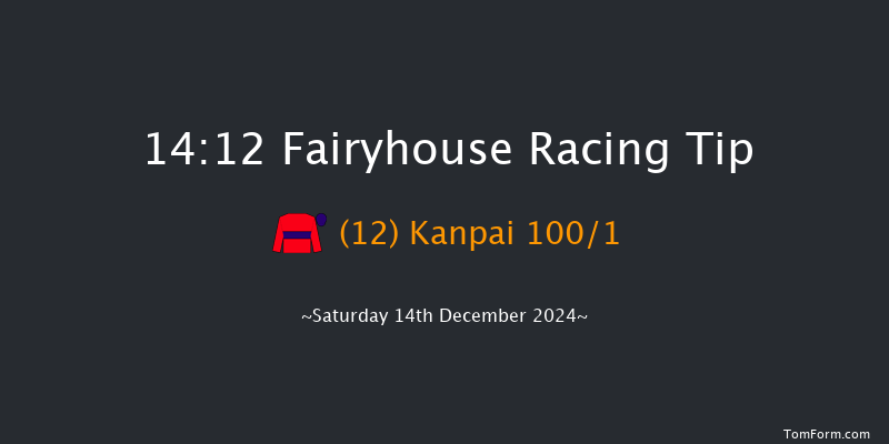 Fairyhouse  14:12 Handicap Hurdle 20f Sun 1st Dec 2024