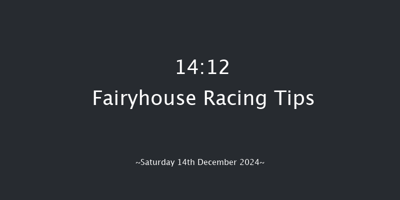 Fairyhouse  14:12 Handicap Hurdle 20f Sun 1st Dec 2024