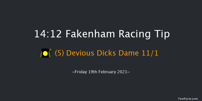 Holt Selling Handicap Hurdle Fakenham 14:12 Handicap Hurdle (Class 5) 16f Thu 28th Jan 2021