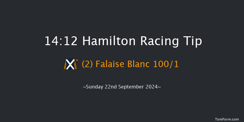 Hamilton  14:12 Maiden (Class 5) 8f Wed 4th Sep 2024