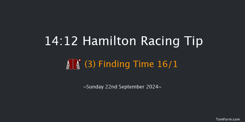 Hamilton  14:12 Maiden (Class 5) 8f Wed 4th Sep 2024