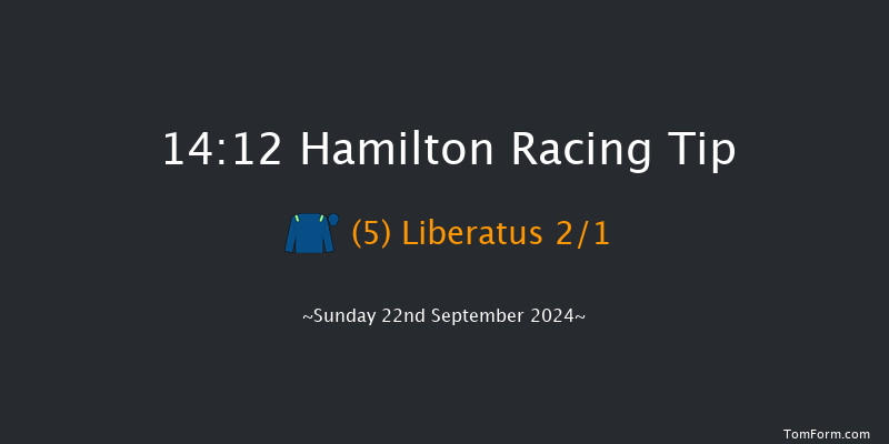 Hamilton  14:12 Maiden (Class 5) 8f Wed 4th Sep 2024