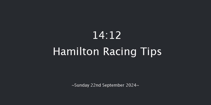 Hamilton  14:12 Maiden (Class 5) 8f Wed 4th Sep 2024