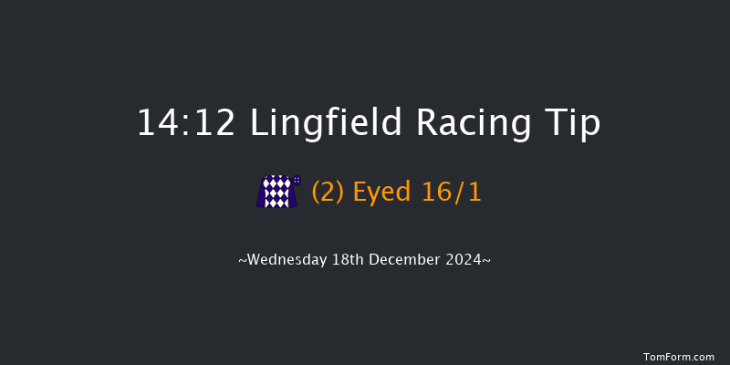 Lingfield  14:12 Handicap Chase (Class 4) 24f Wed 4th Dec 2024