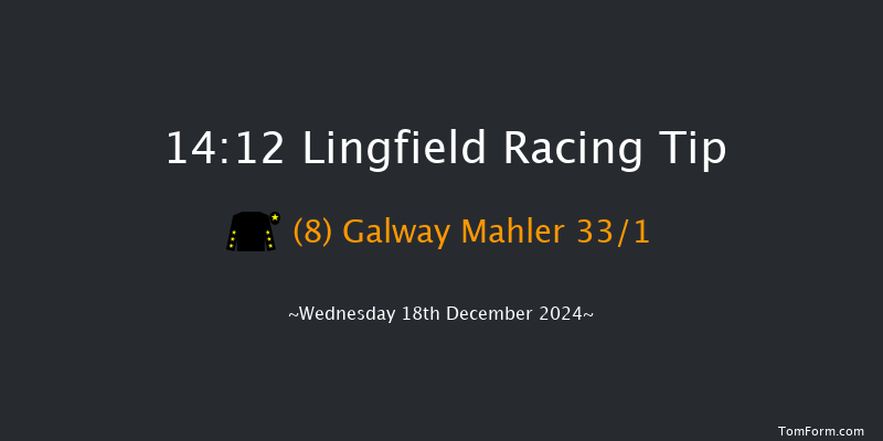 Lingfield  14:12 Handicap Chase (Class 4) 24f Wed 4th Dec 2024