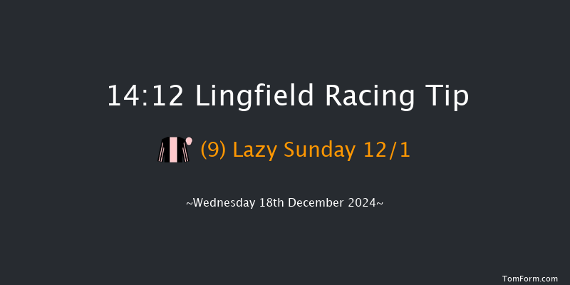 Lingfield  14:12 Handicap Chase (Class 4) 24f Wed 4th Dec 2024