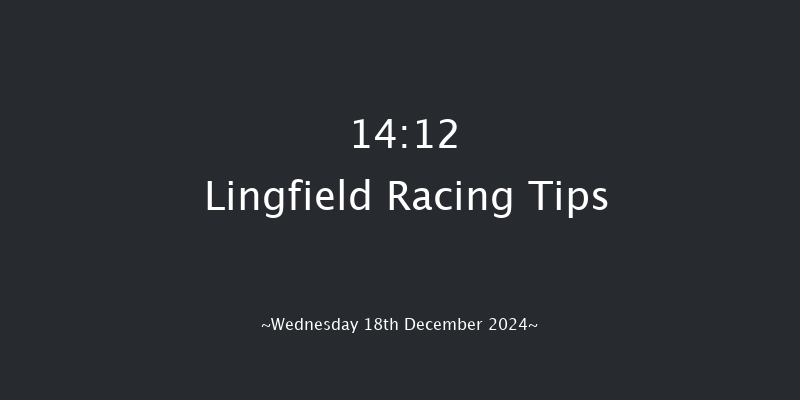 Lingfield  14:12 Handicap Chase (Class 4) 24f Wed 4th Dec 2024