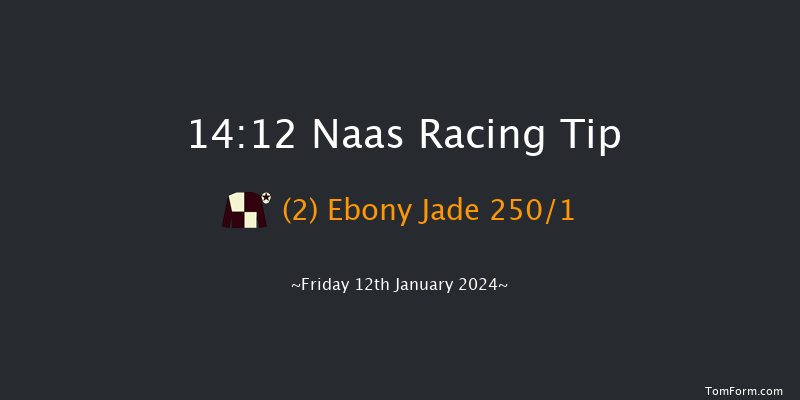 Naas 14:12 Maiden Hurdle 16f Sun 7th Jan 2024